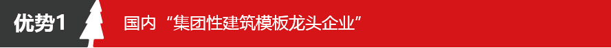 五棵松系列清水模板 小板 20